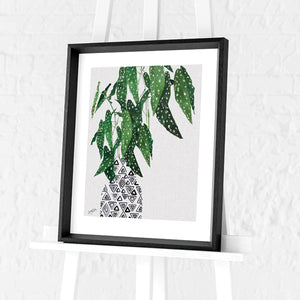 Polka Dot Begonia Plant by Summer Thornton | Framed Print