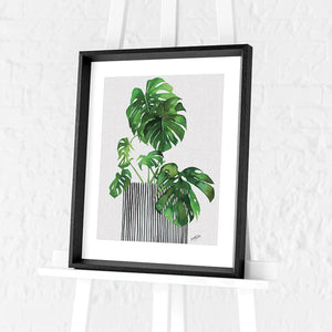Swiss Cheese Plant by Summer Thornton | Framed Print